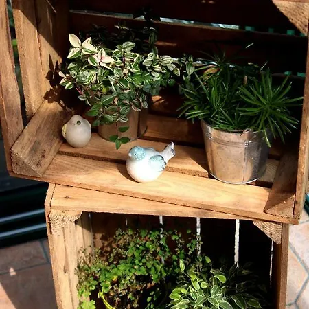 Safraniere De La Venelle Du Moulin