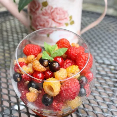 Safraniere De La Venelle Du Moulin