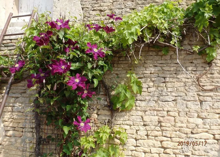 Safraniere De La Venelle Du Moulin Bed & Breakfast 3*