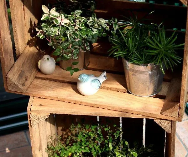 Safraniere De La Venelle Du Moulin