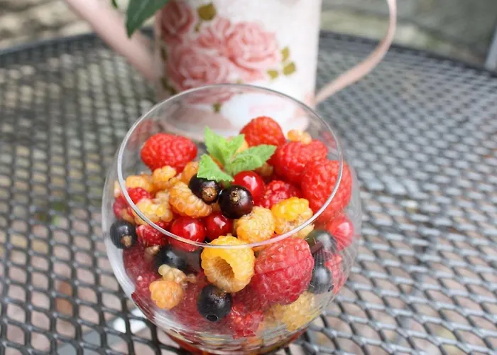 Safraniere De La Venelle Du Moulin